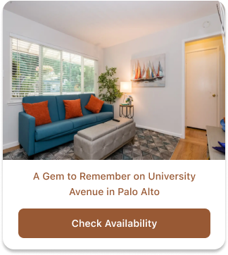 A Hidden Gem in University Ave