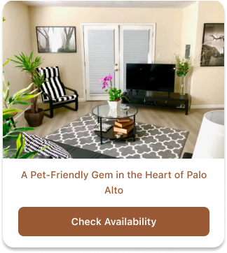 A Gem in the Heart of Palo Alto